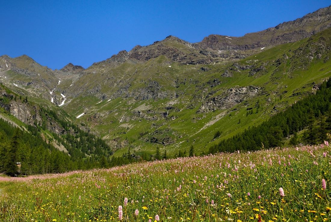 Campiglia Soana Valle Soana